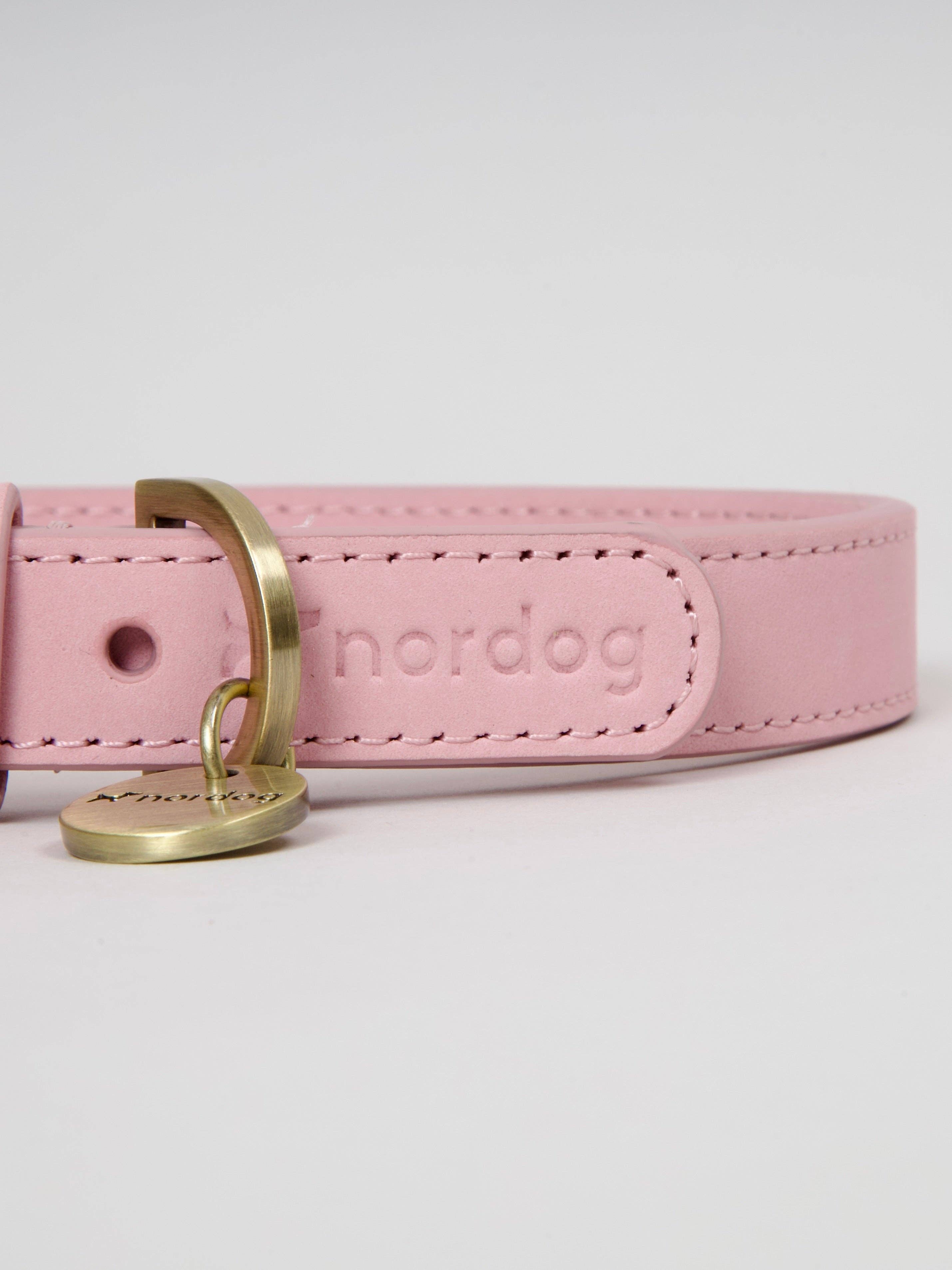 Nordog – Großhandel Haustierhalsband – Hund – Thomas Hundehalsband Candyfloss aus italienischem Nubukleder1