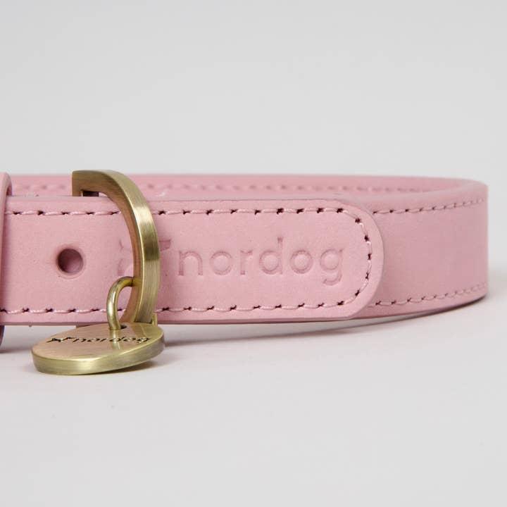 Nordog – Großhandel Haustierhalsband – Hund – Thomas Hundehalsband Candyfloss aus italienischem Nubukleder1