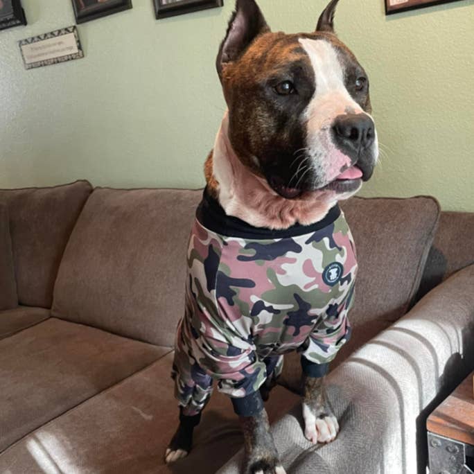 Pittie Clothing Co. - Wholesale Pet Pajamas - Dog - Classic Green Camo Pit bull Pajamas4