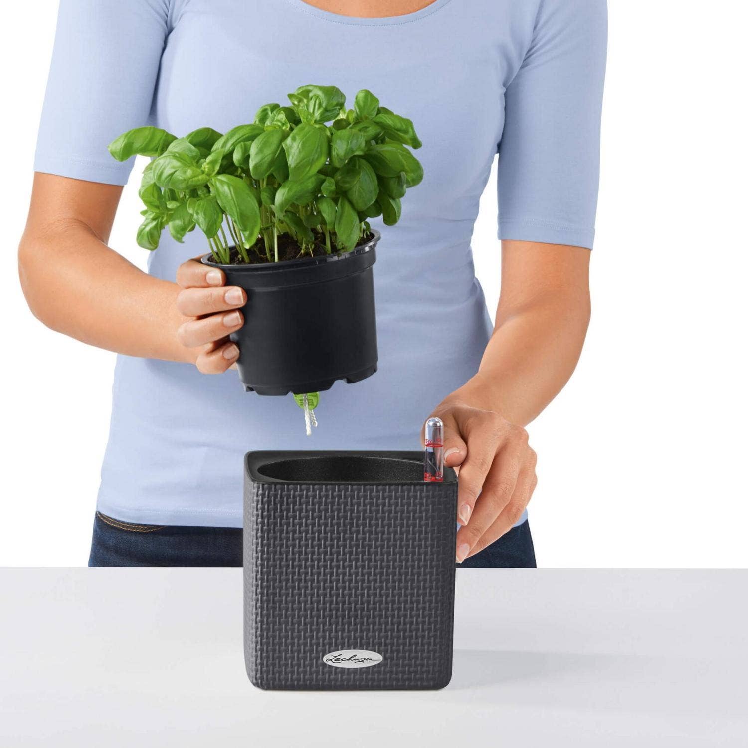 Lechuza Self Watering Planters – Engroshandel Plantekasse – LECHUZA CUBE farve poly harpiks tabel firkantet plantageejer15