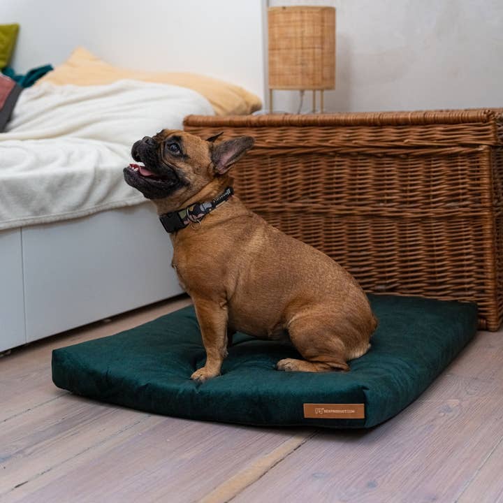 Rexproduct Sp. z o.o. Sp. k. – Engroshandel Seng - Hund – Hundeseng Rexproduct Blød, økologisk pude, farver17