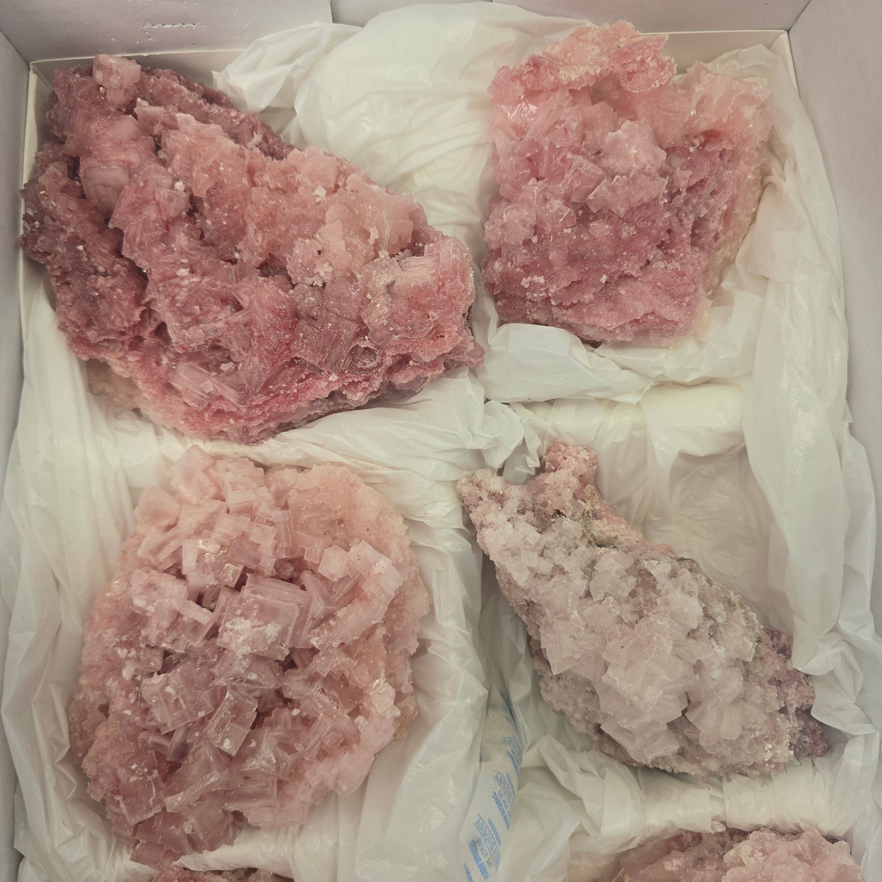 Aquamarine Daydream Wholesale - Wholesale Spiritual Stone/Crystal - 6pc Pink Halite ~ Bulk Mineral Flats ~ Crystal Specimens #53