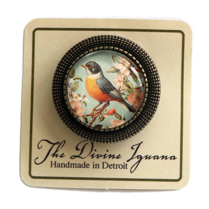 The Divine Iguana - Wholesale Brooch - Vintage Robin Spring Bird Glass Cabochon Brooch1