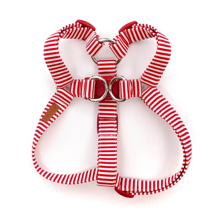 Cherry Stripe Sele för wholesale av Puddle Jumper Pups