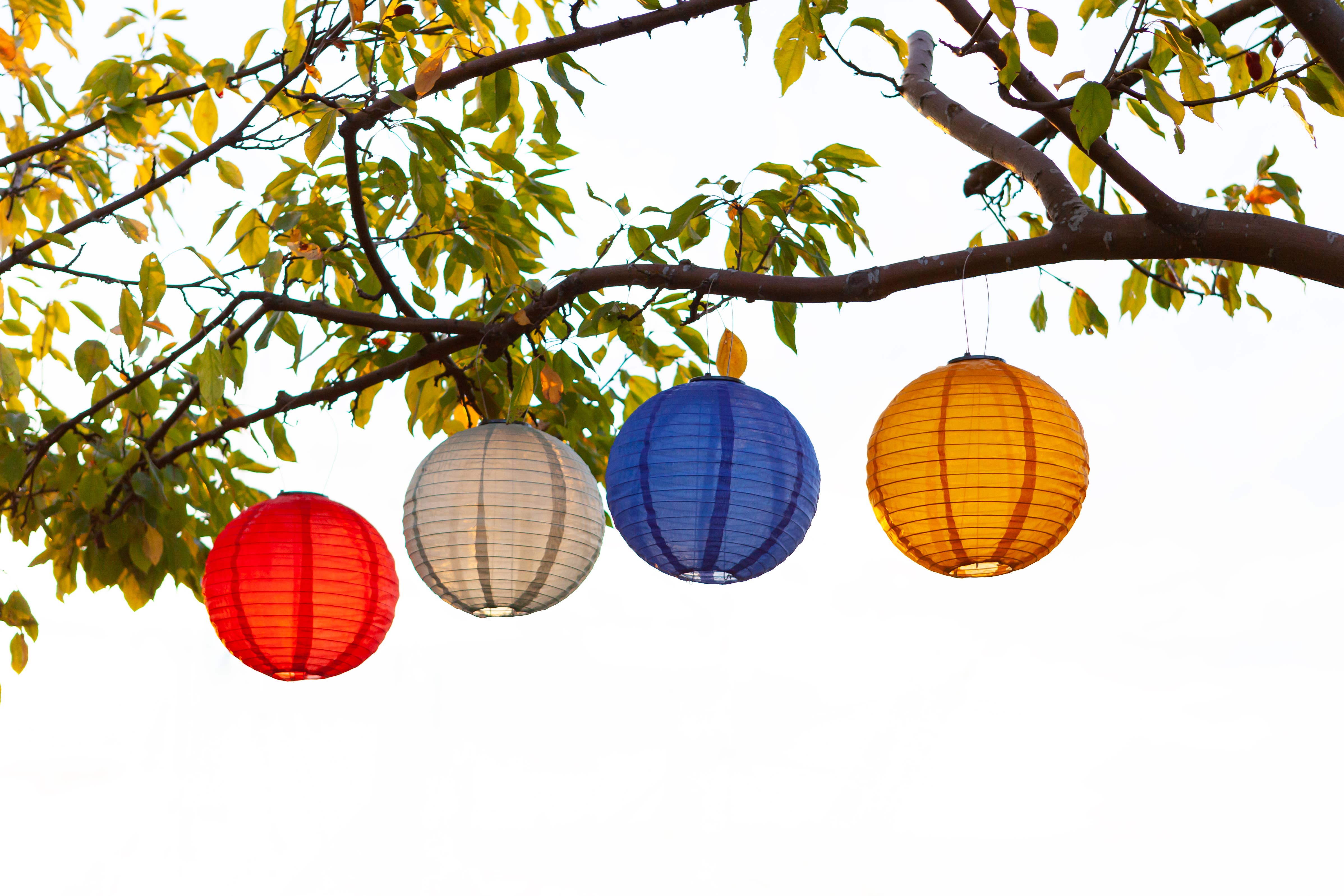 Allsop Home & Garden - Vendita all'ingrosso Luce per esterni/da giardino - Lanterna solare Soji Festival Globe 12" - Blu ceruleo17