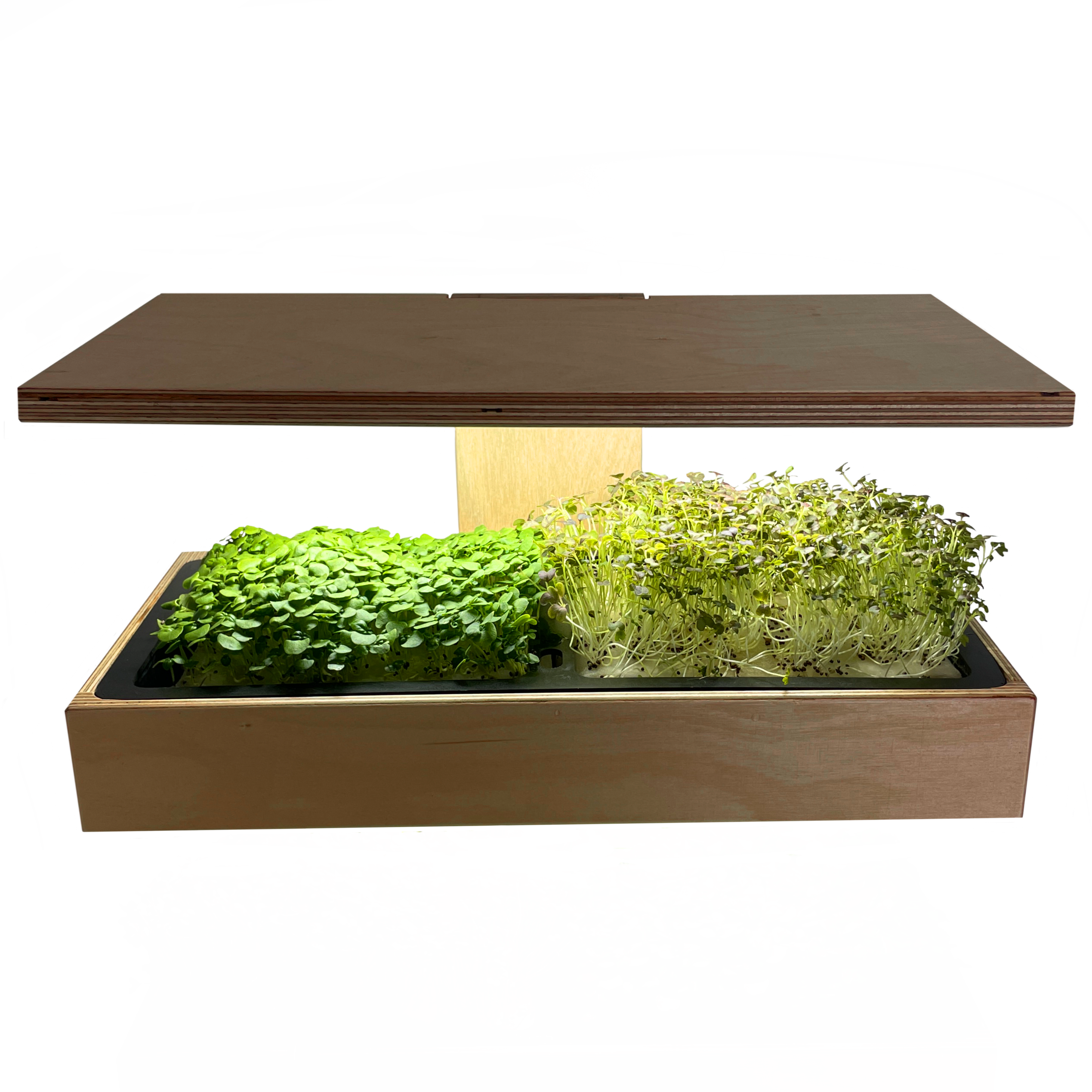 Caulys - Wholesale Plant Pot - Caulys Home - SOLO1