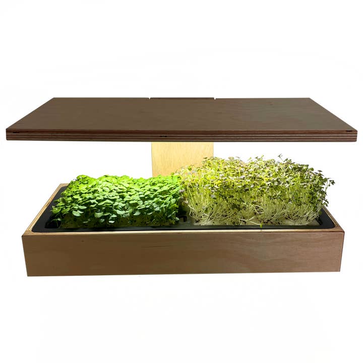 Caulys - Wholesale Plant Pot - Caulys Home - SOLO1