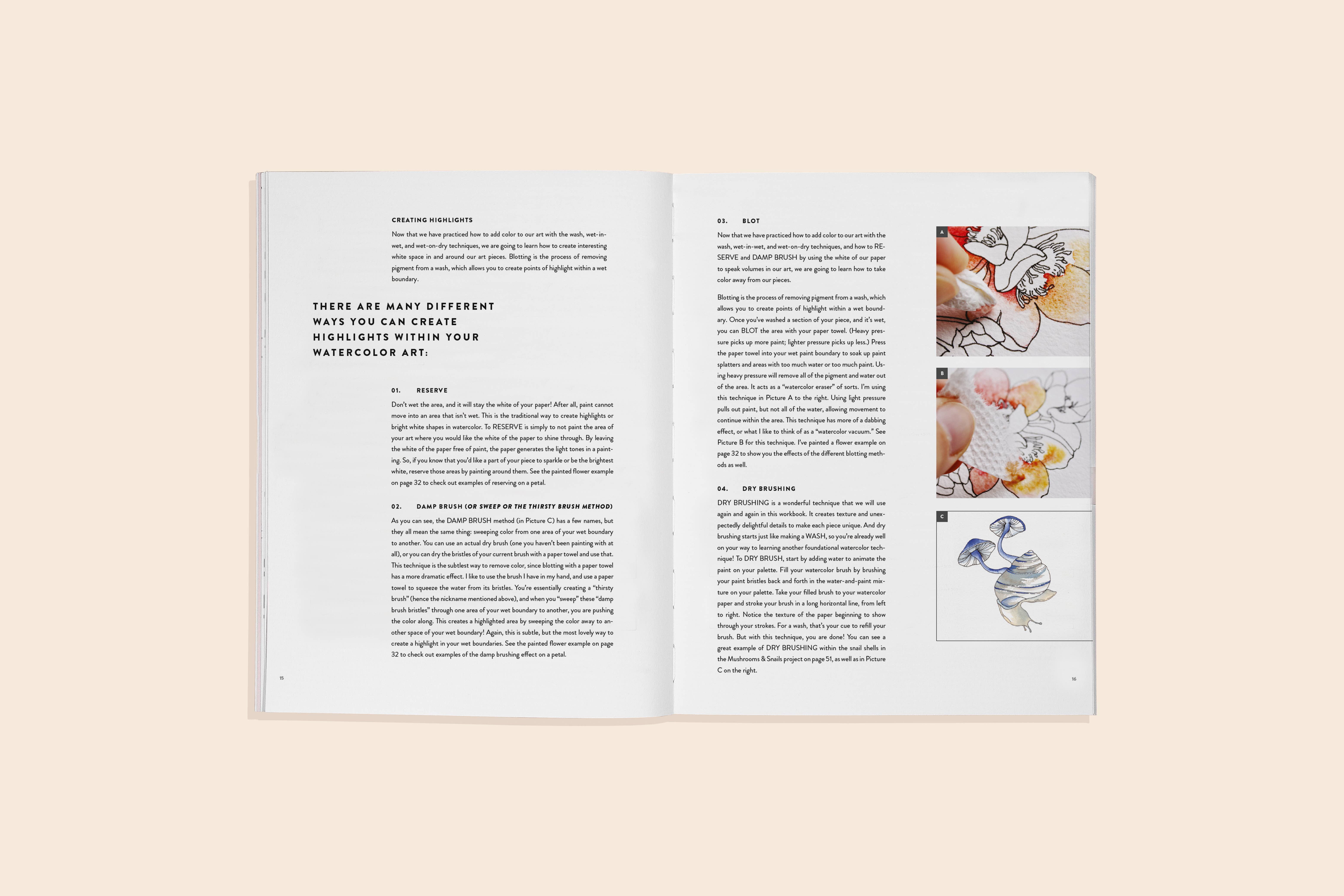 Paige Tate & Co. - Wholesale Aquarelverf - Waterverf Werkboek 2: Bloemen, Veren en Dierenvrienden4