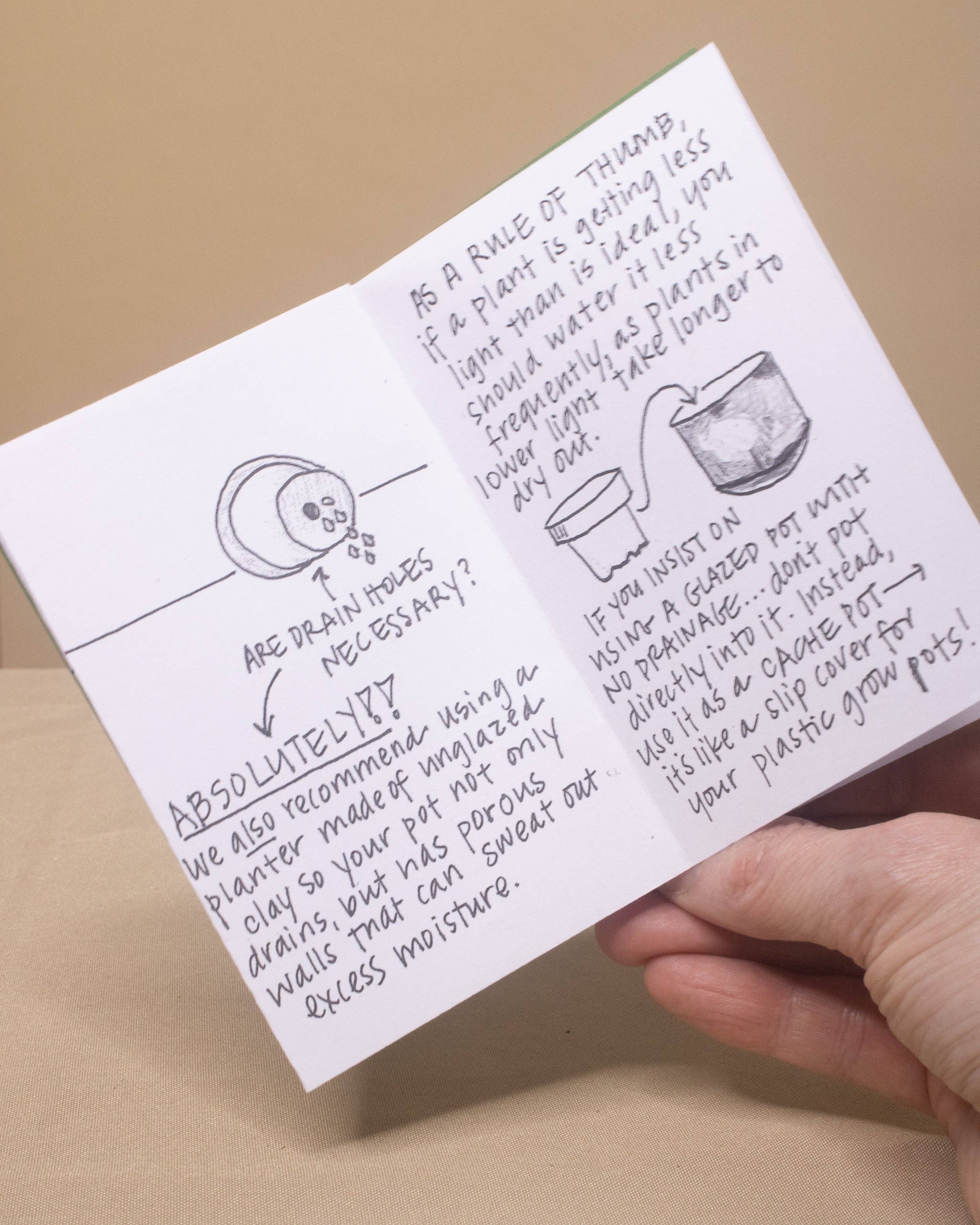 Fernseed - Wholesale Home & Garden - A Common-Sense Guide (zine)2