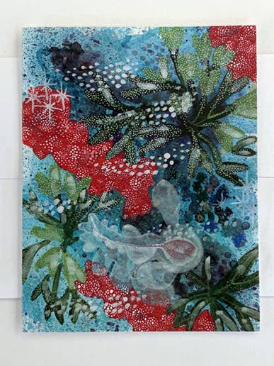 NUDIBRANCH #5 TIDPOOLSTUDIER ANTECKNINGSKORT för wholesale av Jill Bliss Artwork
