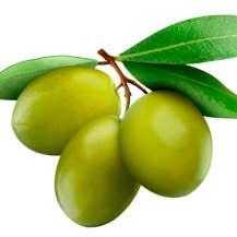 Lady Joseph - Wholesale Crackers - Maxi Cracker with green olives & Olive Oil olive cracker