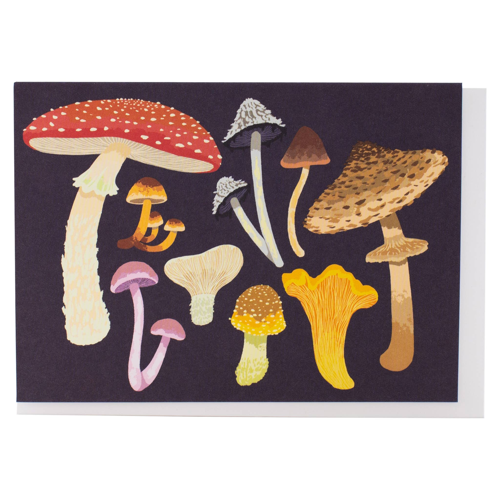 Smudge Ink - Wholesale Everyday Greeting Card - Mushrooms Note Card1