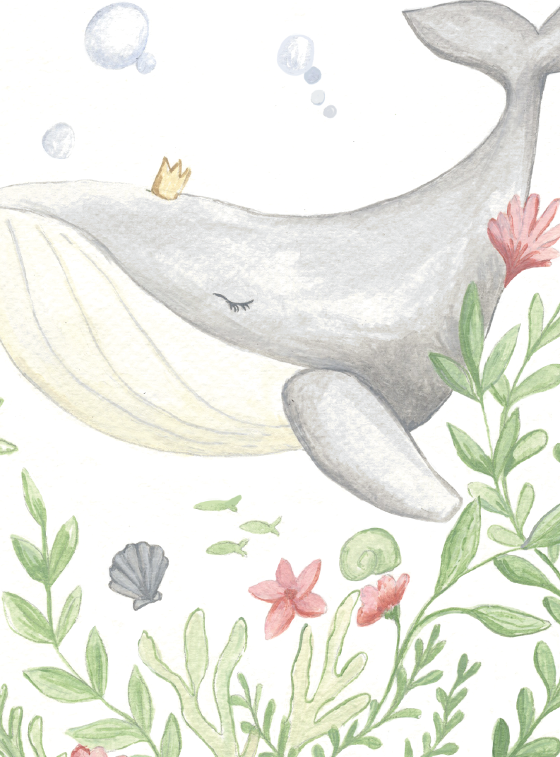 Jessica Frasz Studio – Engroshandel Fødselsdagskort – Whale Fødselsdag Kid Lykønskningskort2