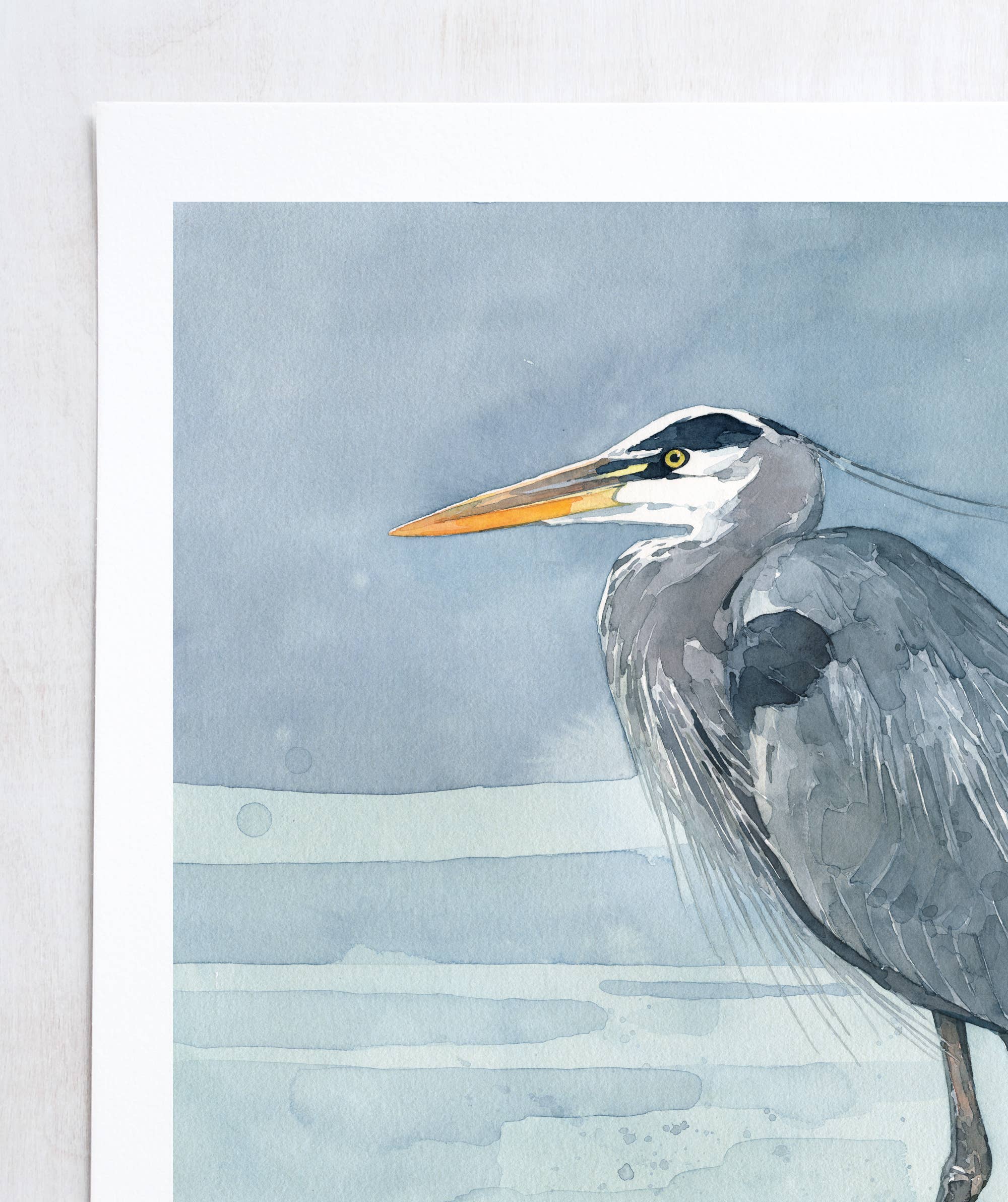 Studio Tuesday – wholesale Konsttryck – Stor blå häger på gren akvarellmålning6