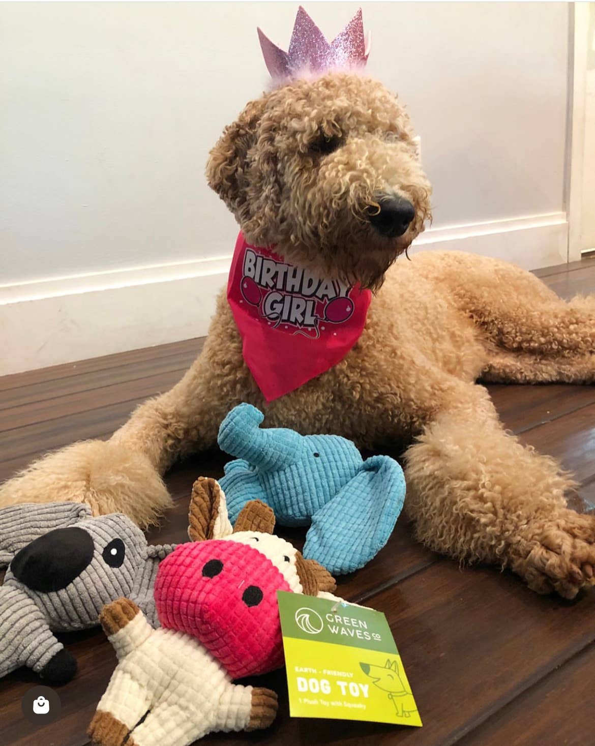 Green Waves Co. - Wholesale Pet Plush Toy - Dog - Cow Small Plush Toy2