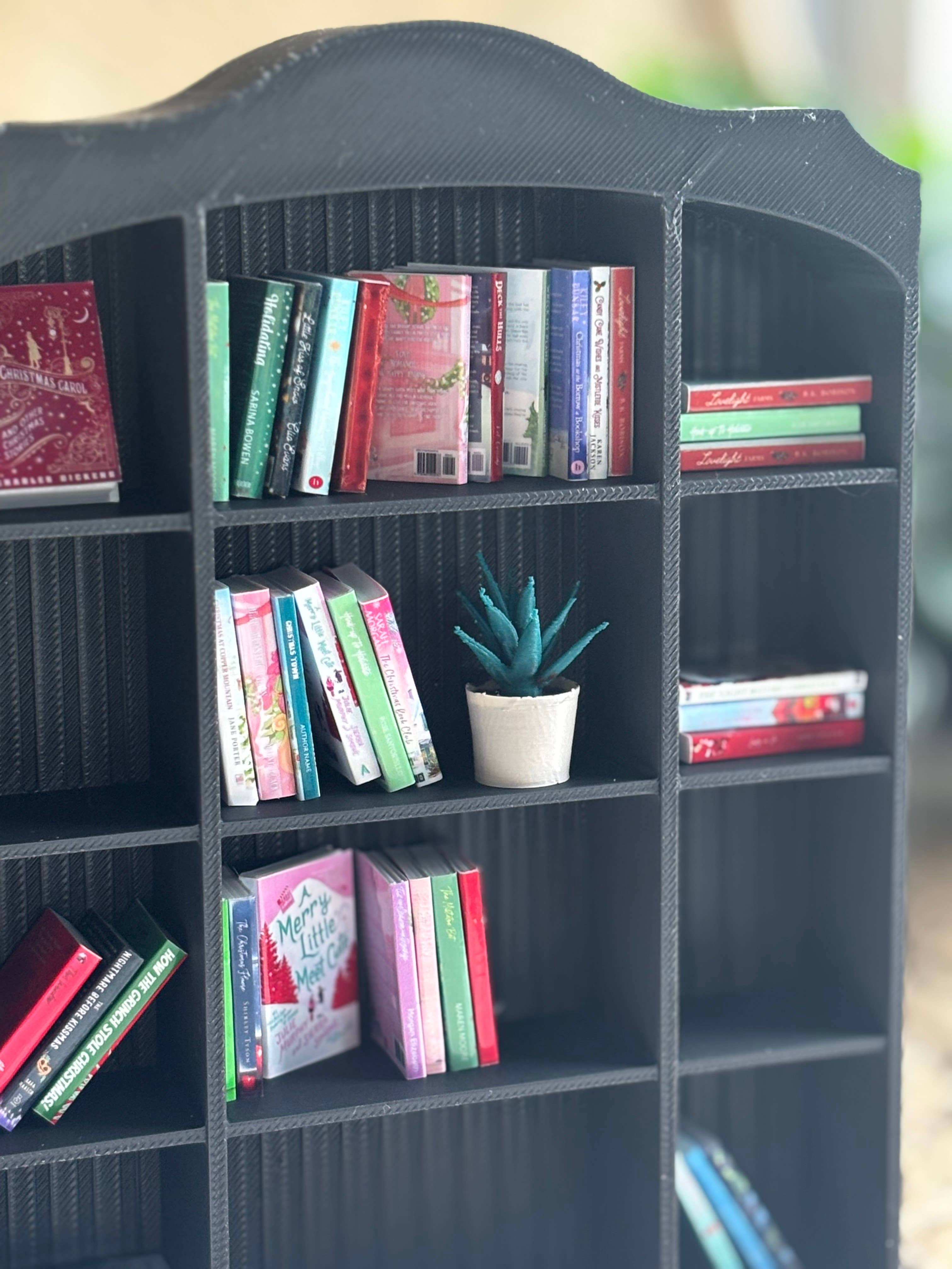 Nordic Book Adventure - Wholesale Decorative Tabletop Object - Mini Aloe Vera Plant To Miniature Bookshelf 3