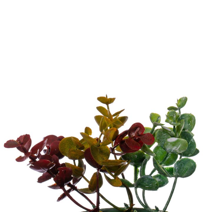 Multi Vickerman 18" Red/Green Spiral Eucalyptus Wreath for wholesale on Faire1