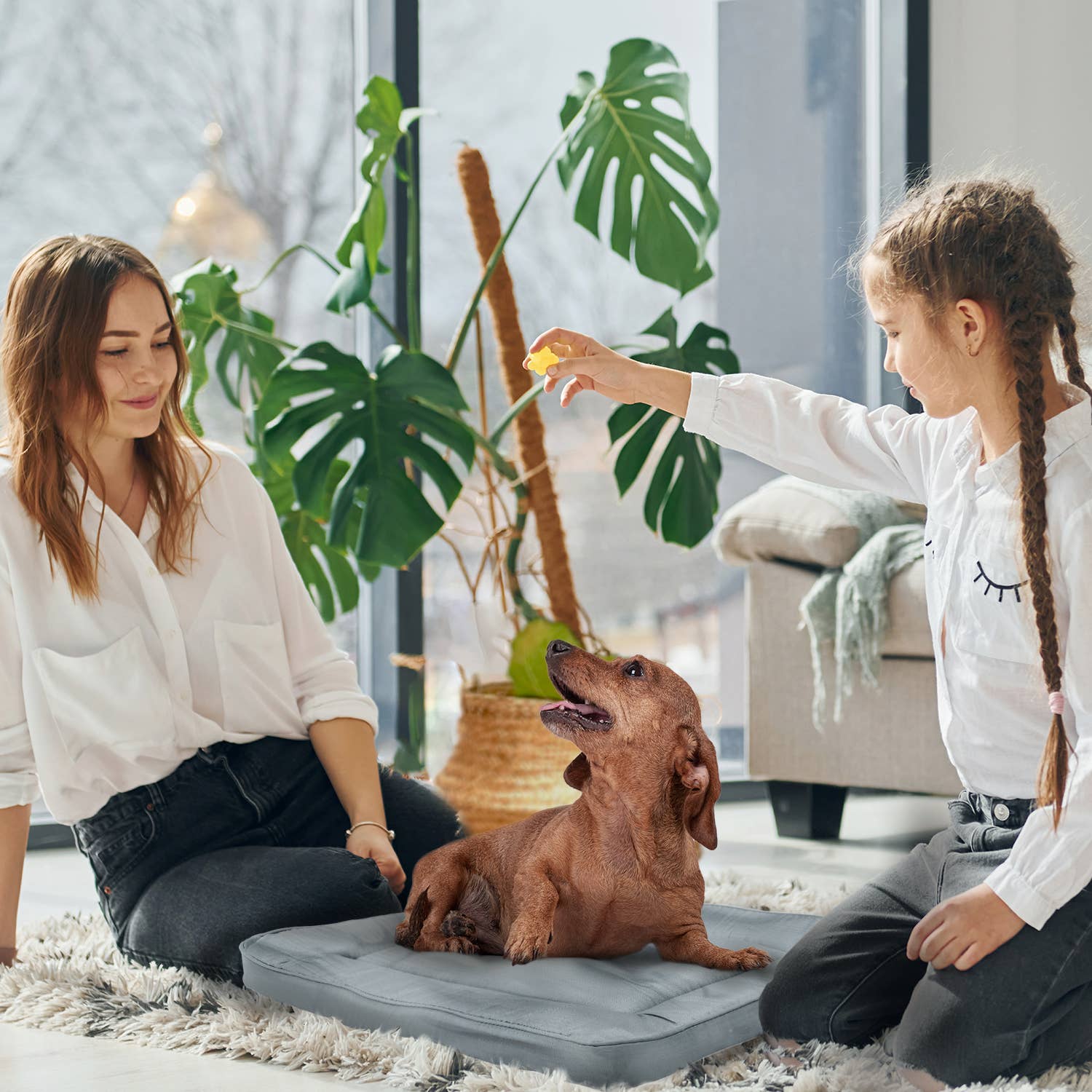 Precious Tails - Wholesale Pet Bed - Cat/Dog - Precious Tails Orthopedic Pet Bed Crate Mat5