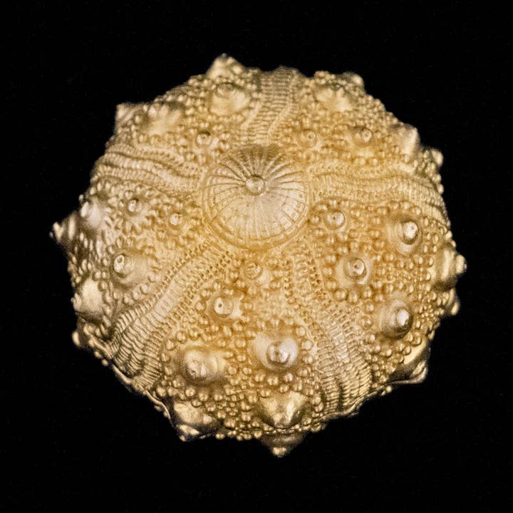 Sea Urchin Nesting Box for wholesale by Michael Michaud Table Art