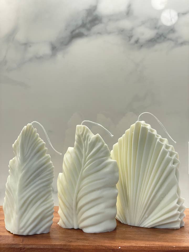 Palmera pour la vente par Tranquillitas by JHS