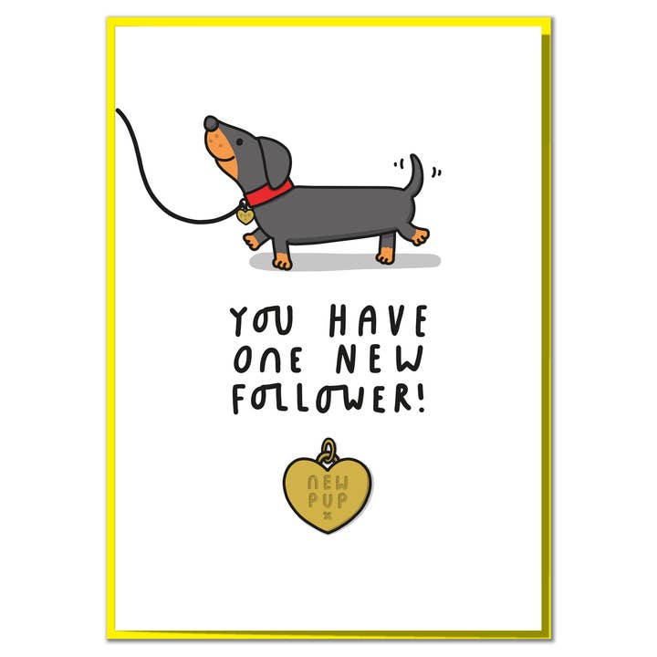 New Follower Black Lab. Funny New Dog Card for wholesale by Mungo And Shoddy