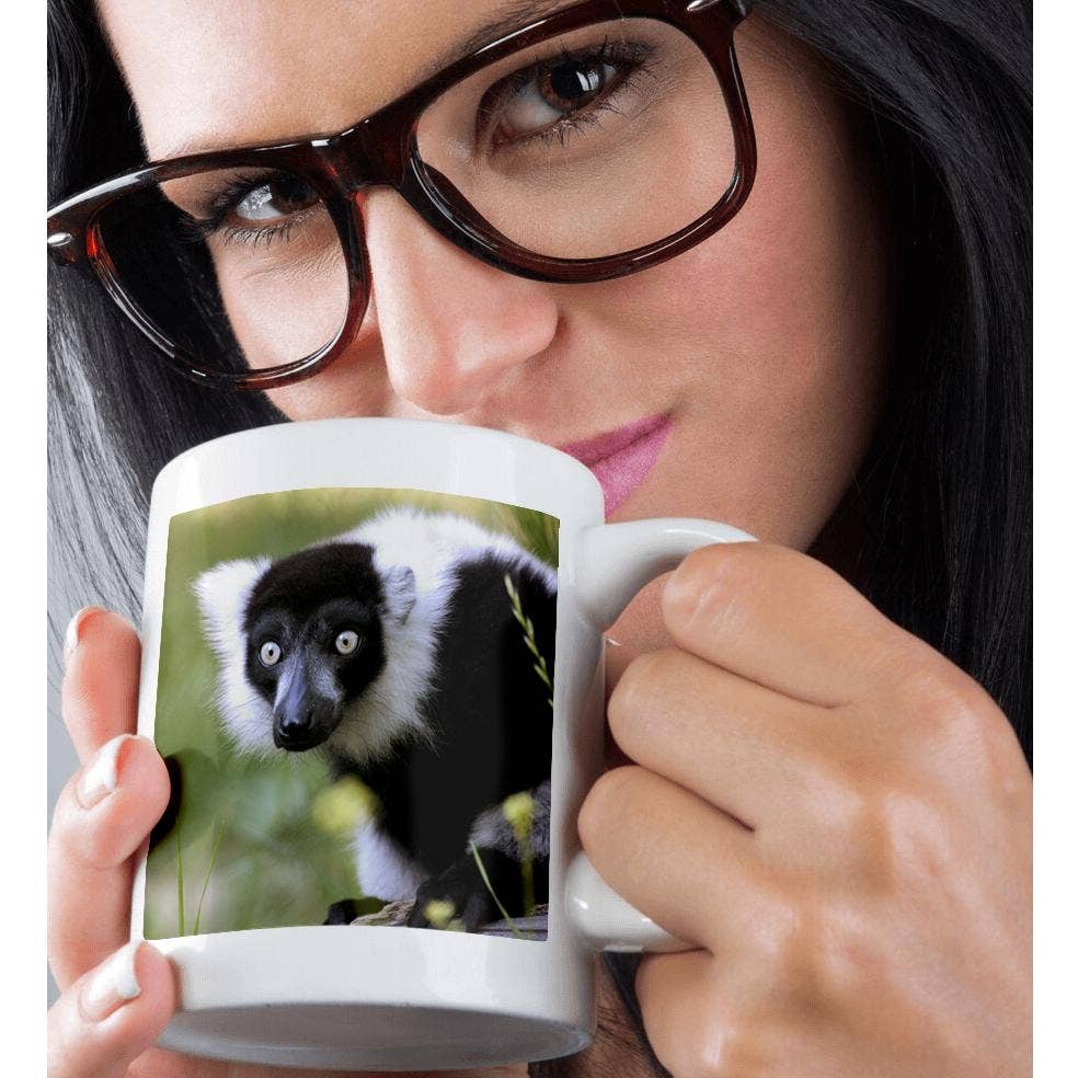 3dRose - Wholesale Koffiemok - 3dRose, Maki in de Sacramento Zoo, Californië - US05 TAU0066 - Tananarive Aubert, Mok.8