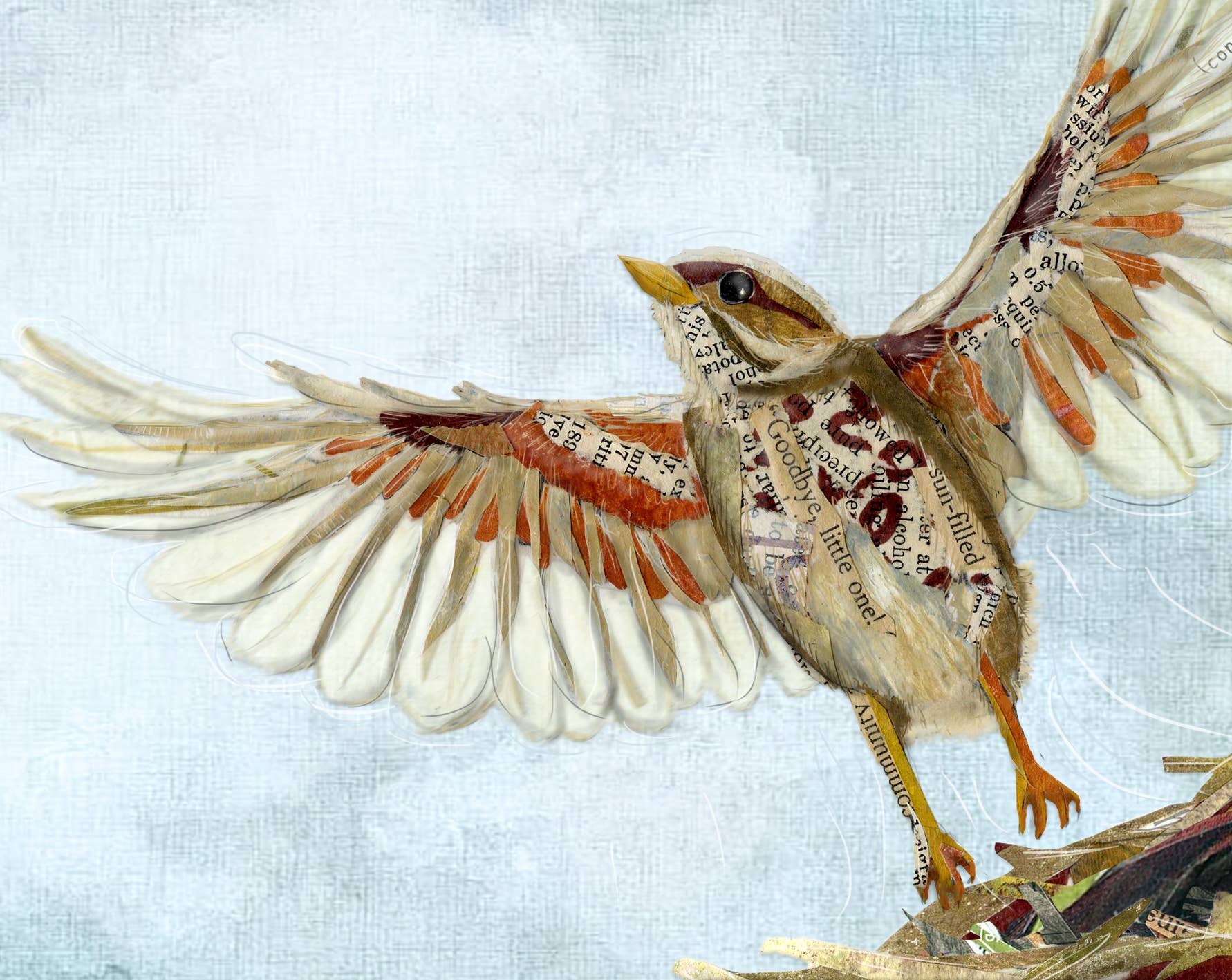 Found & Rewound - Wholesale Art Print - Graduate Fledgeling -  print2