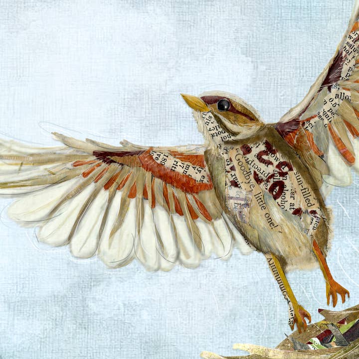 Found & Rewound - Vente Affiche d'art - Imprimer Jeune Diplômé2