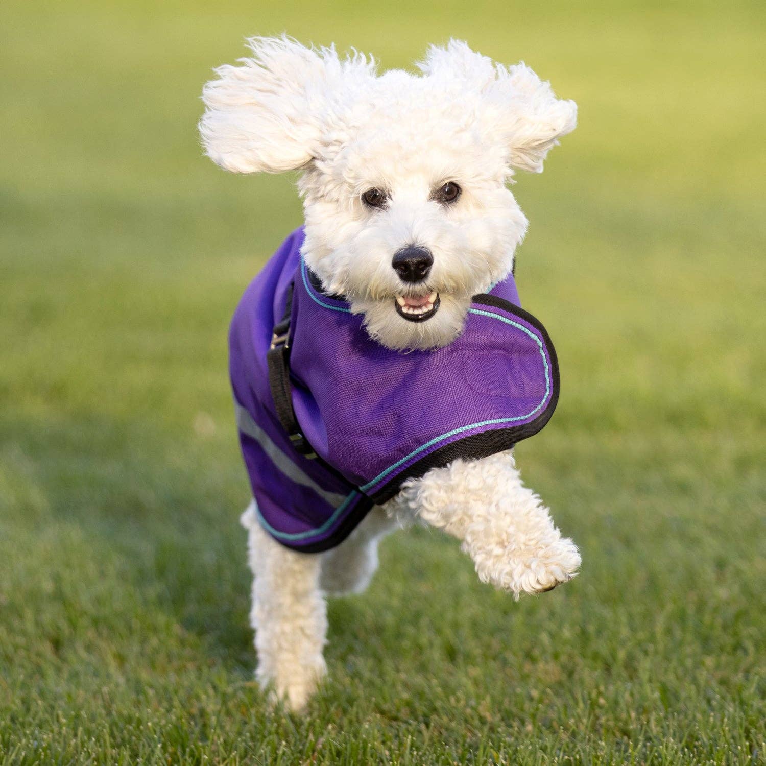 Kensington - Wholesale Pet Coat - Dog - 1200Denier "180G" Medium Weight Waterproof & Breathable Dog Coat11