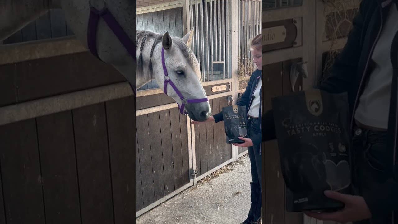 Hofman Animal Care - Wholesale Pet Treats - Dog - Excellent Horse Artisan Horse Cookies Apple4