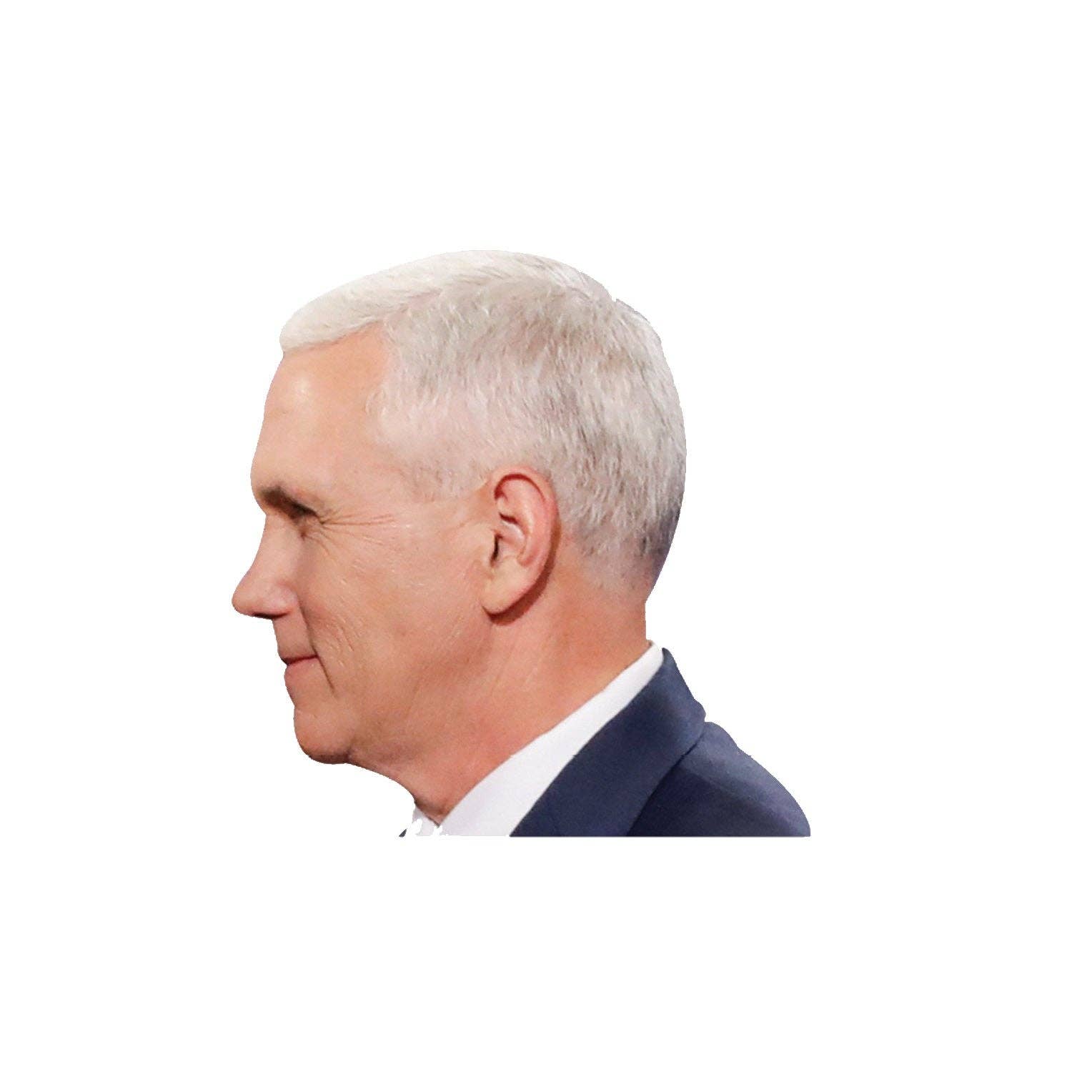 AAHS Enterprises - Wholesale Sticker - Donald Trump Decals Car Stickers Funny Left Window Peel Off Political (Mike Pence)…0