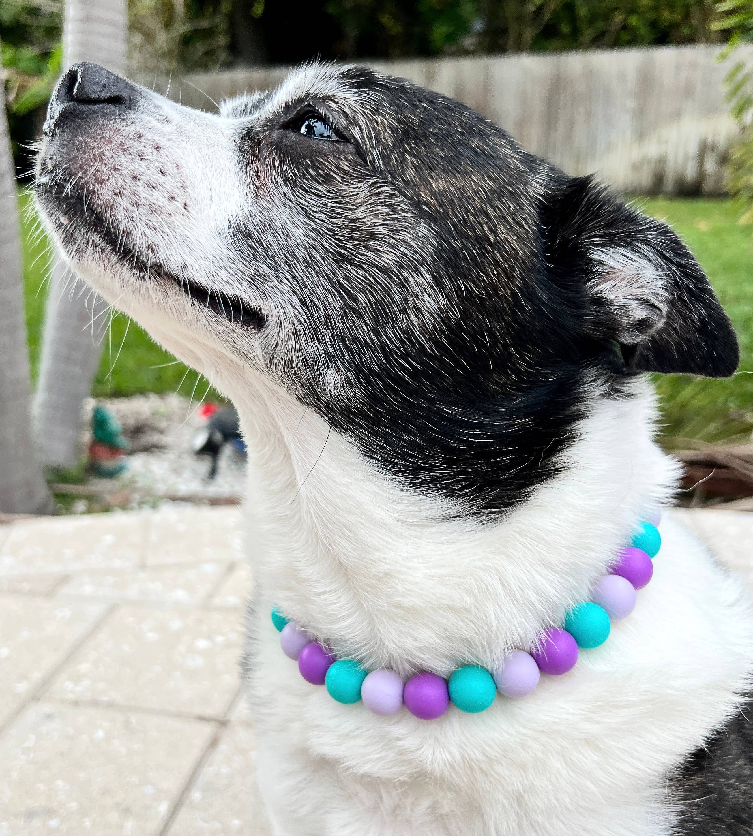 Dainty Paws - Venta al por mayor Collar - Perros - Sirena | Collar para perro con cuentas0