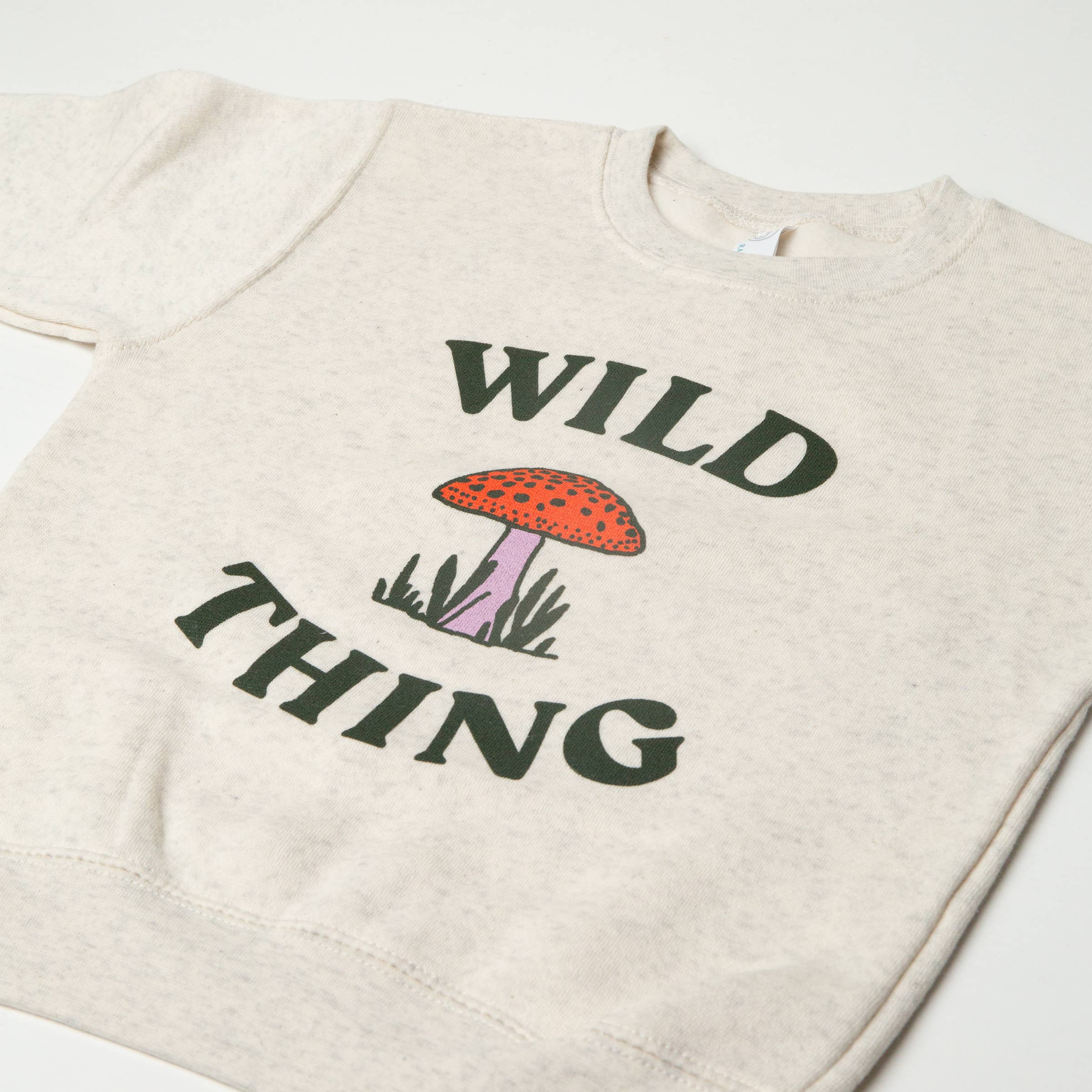 Tender Loving Empire - Wholesale Sweatshirt - Kids - Wild Thing Kids Crew Sweatshirt1