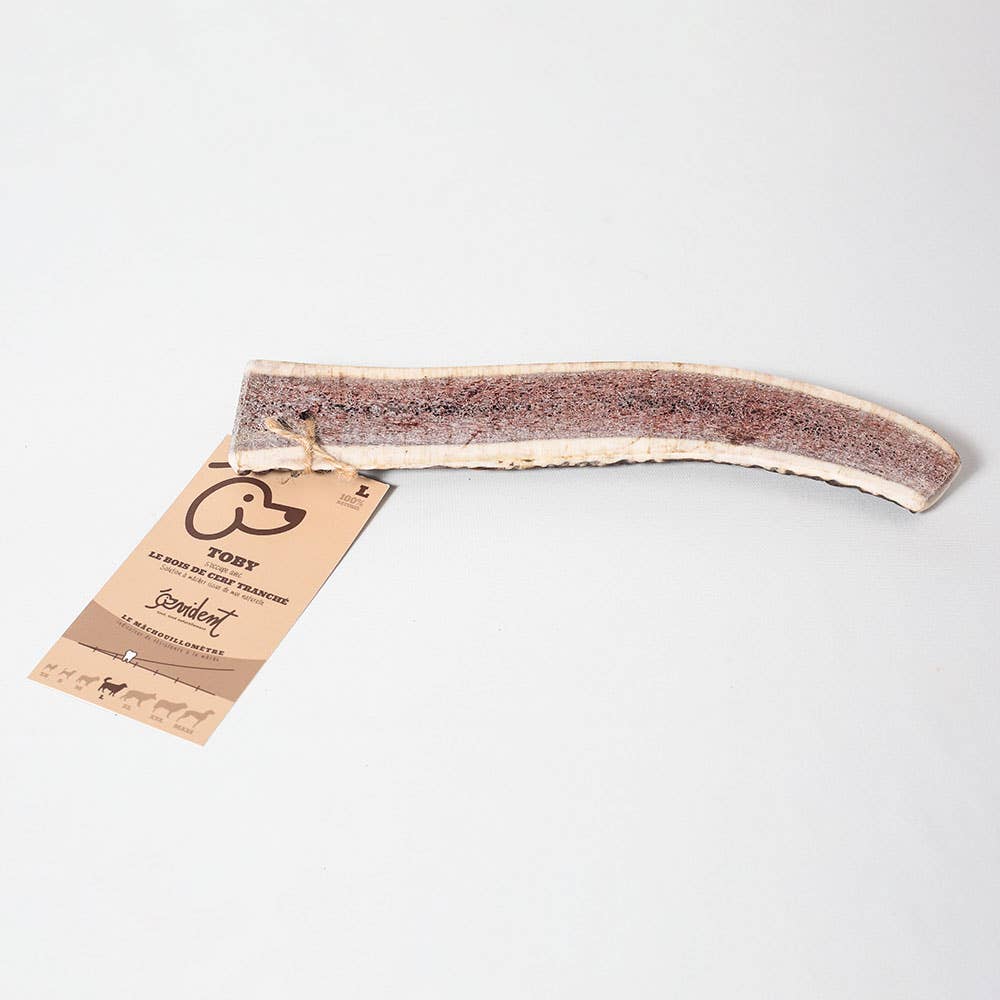 Evident - Wholesale Pet Bone/Rawhide - Dog - TOBY - Sliced deer antler to chew for dogs5