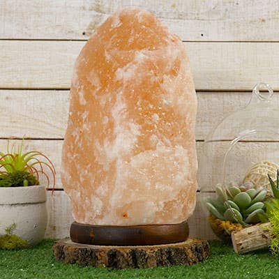 Natures Artifacts Inc - Wholesale Salt Lamp - XL Himalayan Salt Crystal Lamp