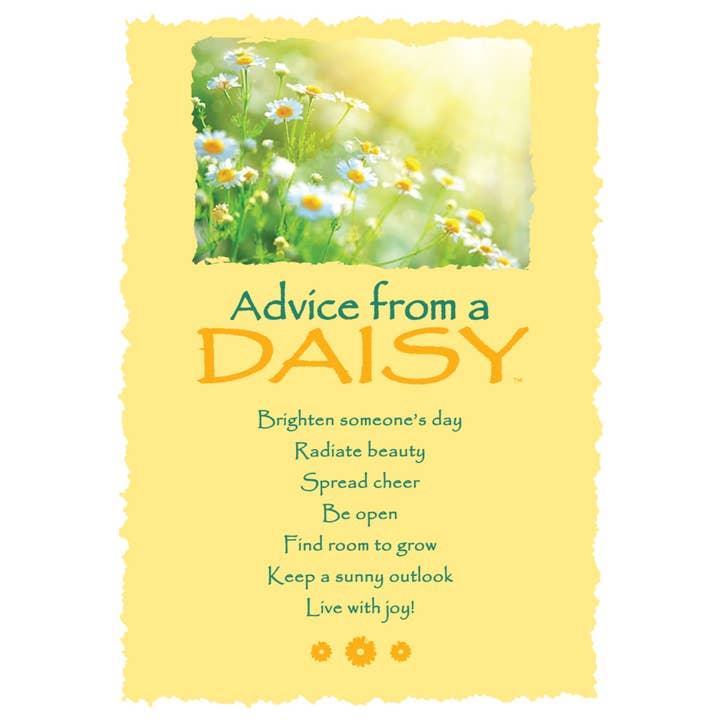 Advice from a Daisy Greeting Card - Blank for wholesale by Advice for Life by Your True Nature