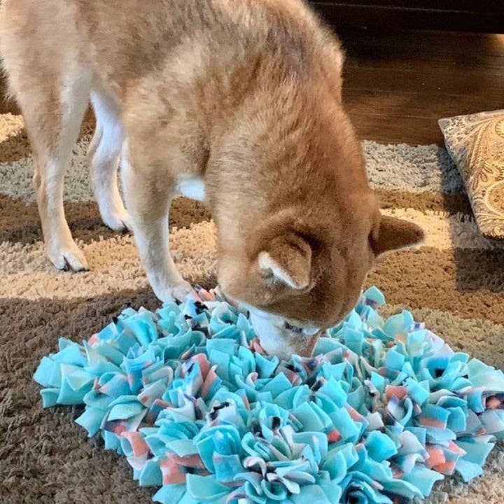 Machine Washable Easy To Store Roll-Up Boho & Mint Washable Snuffle Mat/ Pet Nose Work Foraging Pick Your Size for wholesale by Life’s A Treasure Mat
