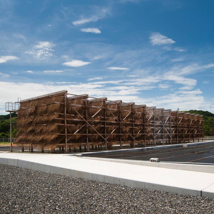 Umami Insider - Wholesale Salt - Moshio "Saredoshio" (Japanese Seaweed Salt), 3.52 oz7