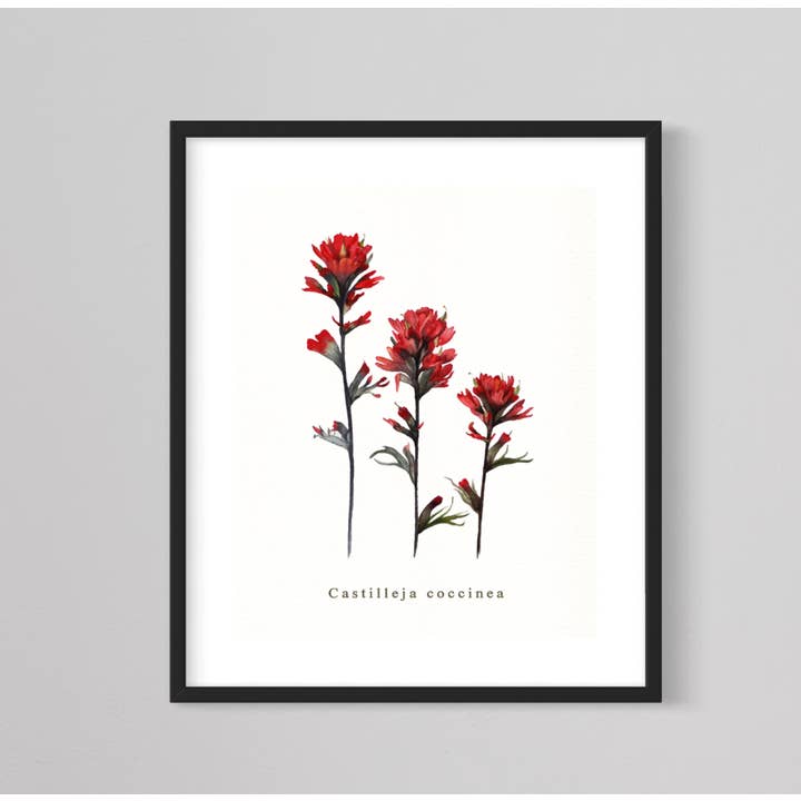 Indischer Pinsel mit floralem Giclée-Druck, PNW Flower Art für den Großhandel von CMarie Northwest