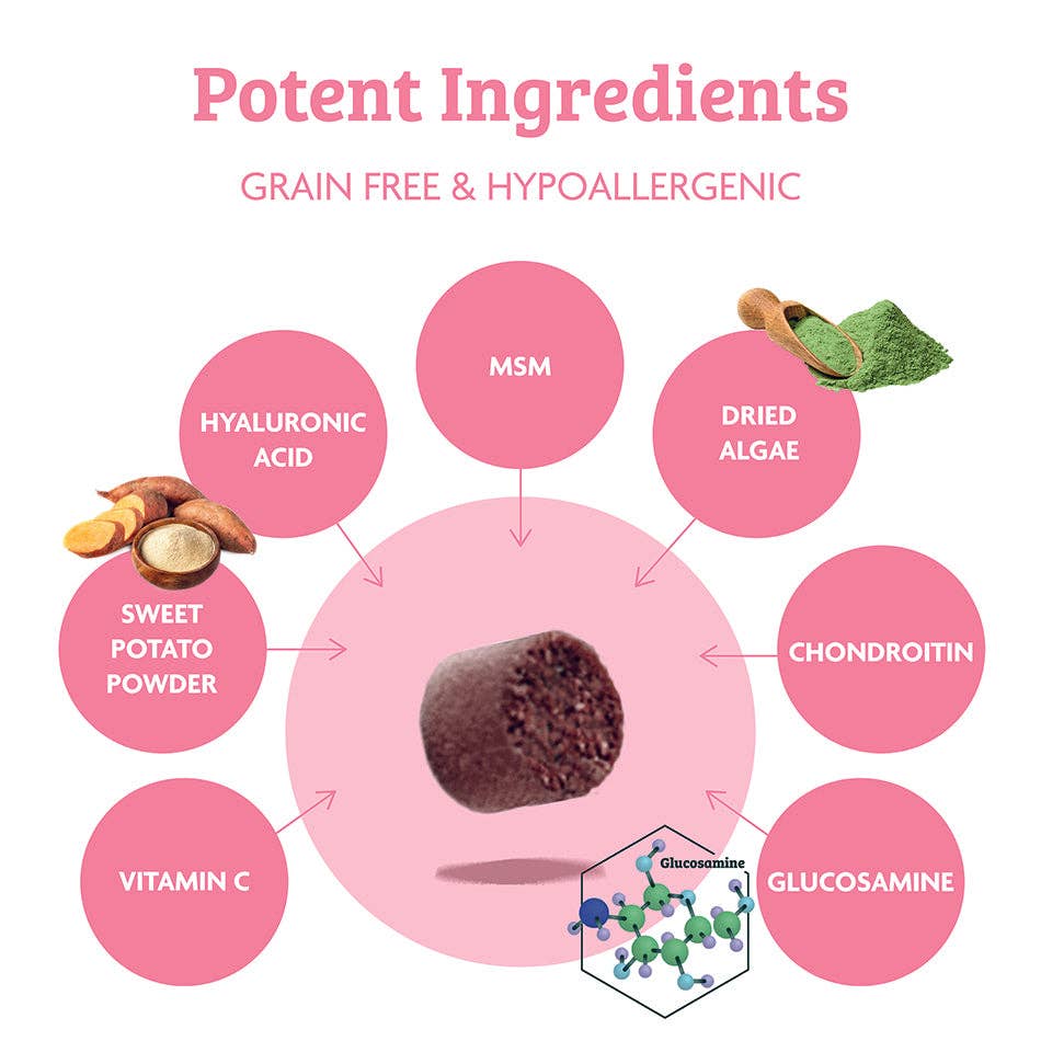 Omni – wholesale Pet supplement – Dog – Omni Rescue - ‘Joints & Mobility’ supplement6