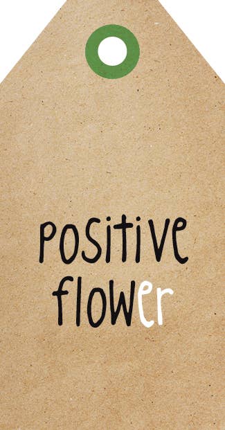 Zinvol.nu - Wholesale Everyday Greeting Card - Gift cards - Florist - Zingevers16