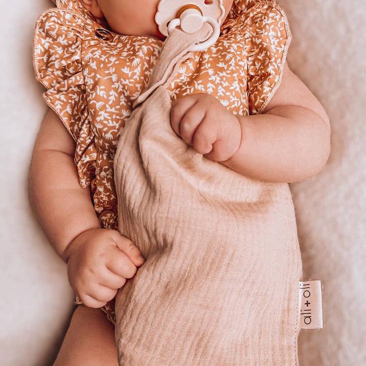 Ali+Oli - Wholesale Security/Cuddle Blanket - Baby - Pacifier Blanket Holder (Pink/Flowers)3
