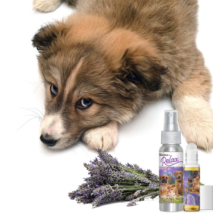 The Blissful Dog – Großhandel Haustierspray – Hund – Relax Dog Aromatherapie Beruhigungsspray & Roll-on