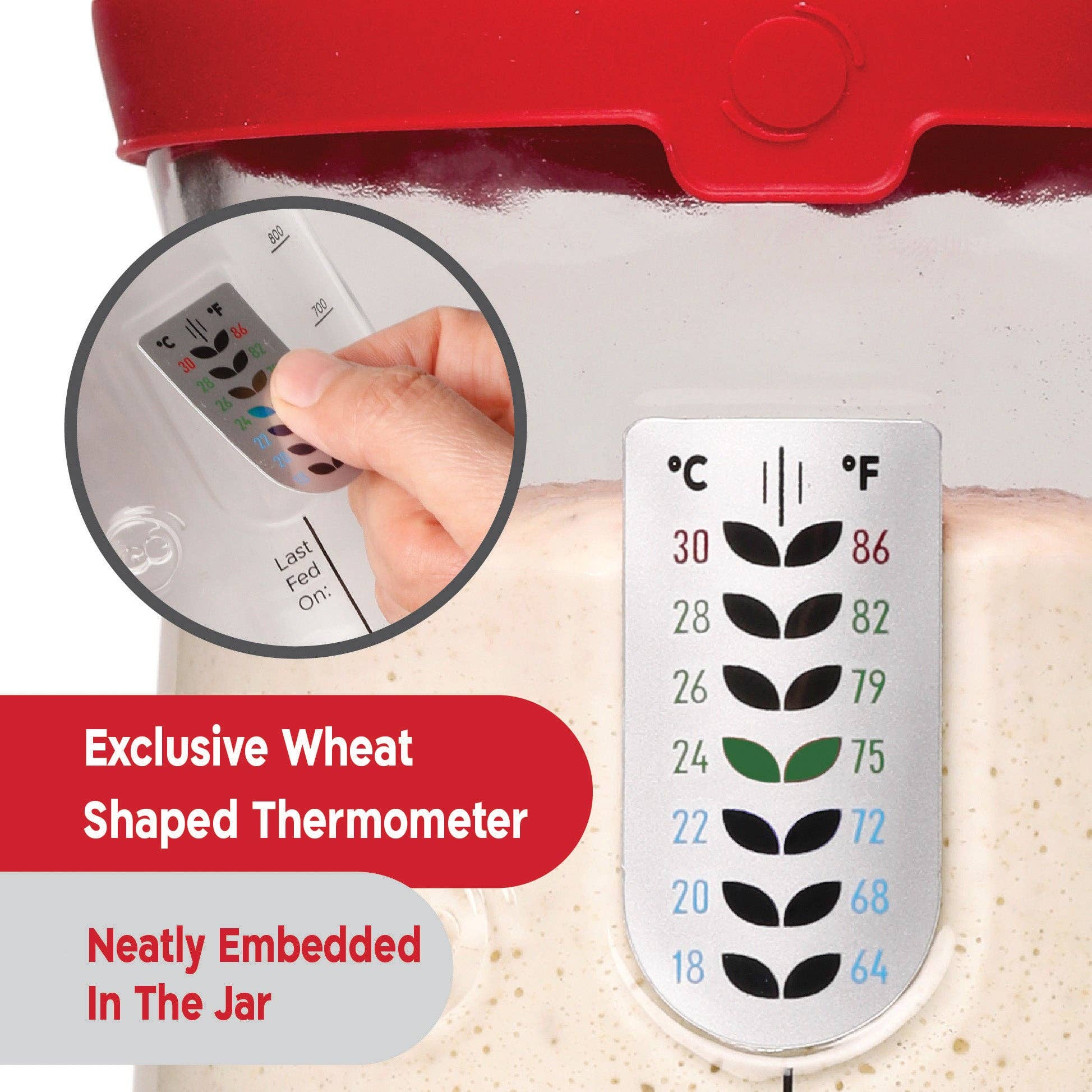 KneadAce – wholesale Kitchen tool/gadget – KneadAce® PRO  34 Oz Sourdough Starter Jar6