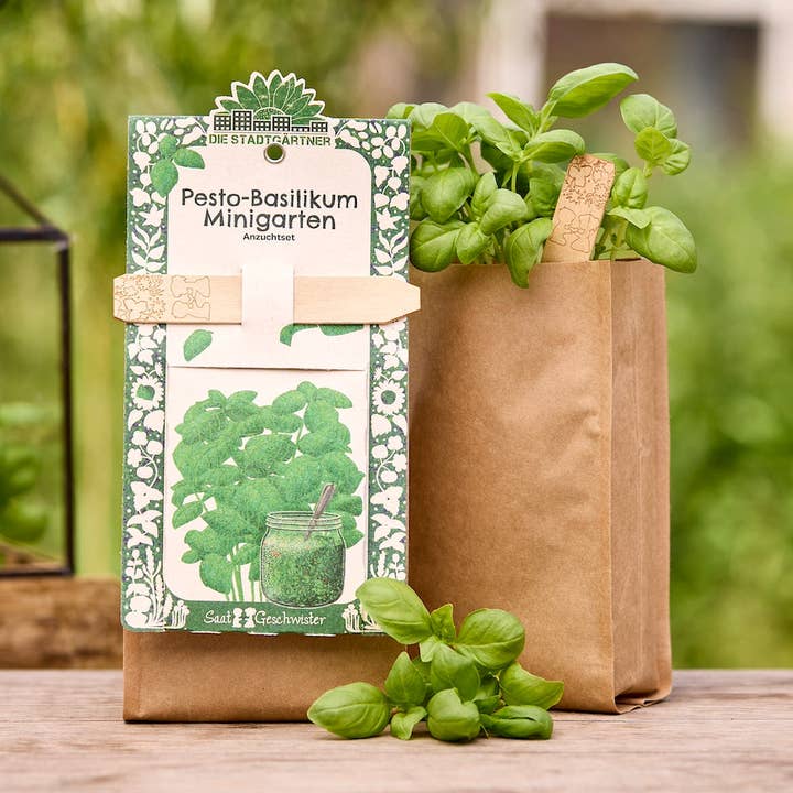 Mini garden - Basil - BIO for wholesale by TDJ Stadtgärtner GmbH