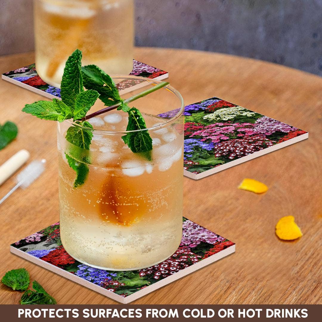 3dRose - Wholesale Coasters - 3dRose, Springtime gardens, Victoria, BC, Canada. Cinerarias in bloom, Coaster2