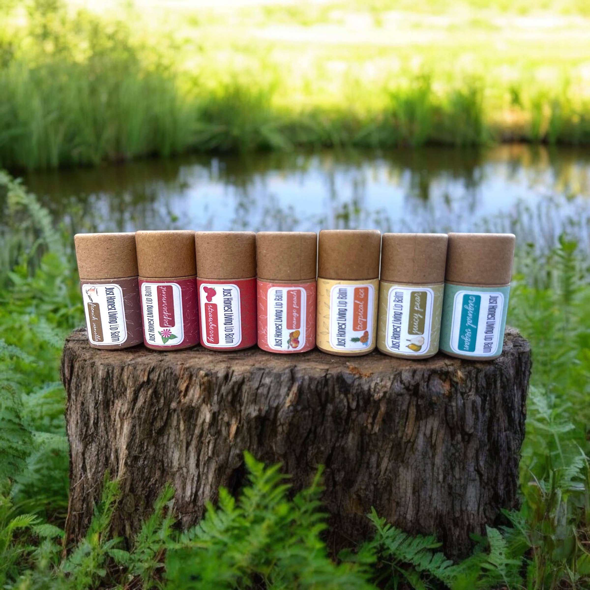 Just Honest Living LLC - Wholesale Lip Balm - Vegan Plastic-Free Lip Balms