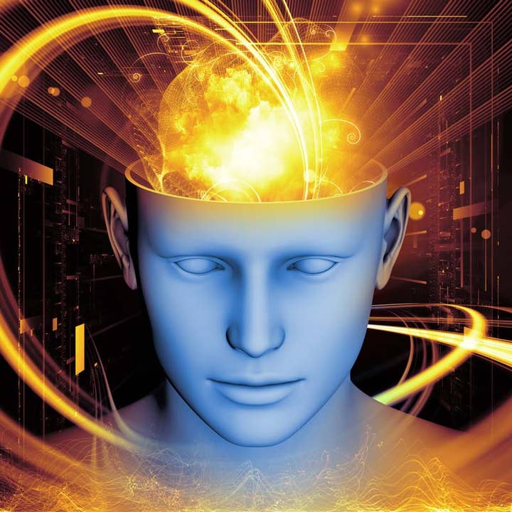 Medicinal Foods, LLC - Vendita all'ingrosso Proteine/superfood in polvere - Smart Cream Coconut Creamer Naturale Nootropic4