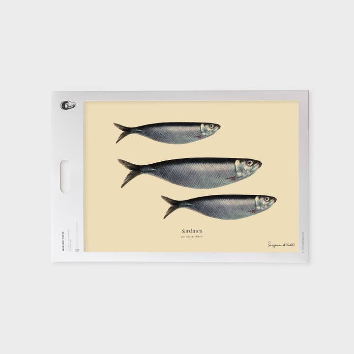 Sergeant Paper - Wholesale Art Print - Suzanne D'Hulst - Sardine - Food Art Print