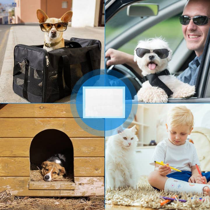 Blue White 50Pcs/Set Dog Training Pads Puppy Pee Pads Cat Wee Mats Potty-Train 24x18In M for wholesale on Faire5